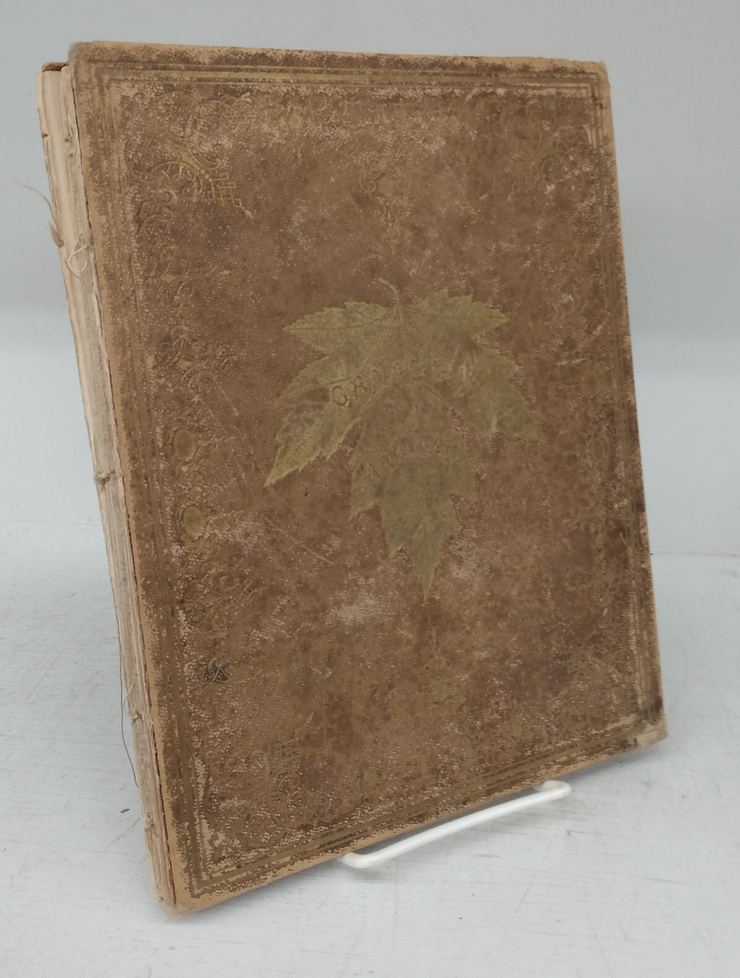 The Maple Leaf, or Canadian Annual; A Literary Souvenir for 1849