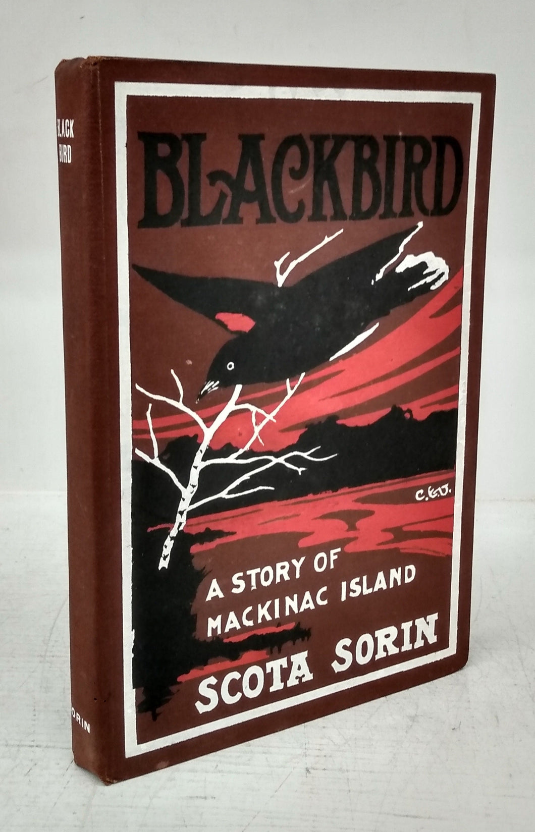 Blackbird: A Story of Mackinac Island