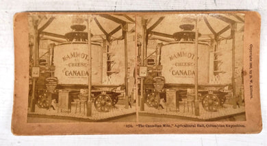 Stereograph photo of "The Canadian Mite," Agricultural Hall, Columbian Exposition