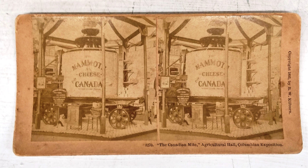 Stereograph photo of "The Canadian Mite," Agricultural Hall, Columbian Exposition