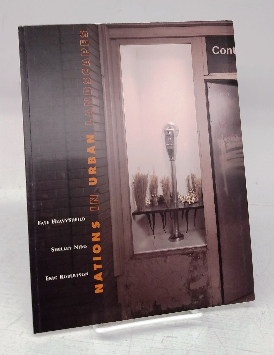 Nations in Urban Landscapes: Faye HeavySheild, Shelley Niro, Eric Robertson