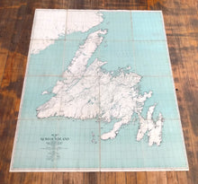 Wall map of Newfoundland