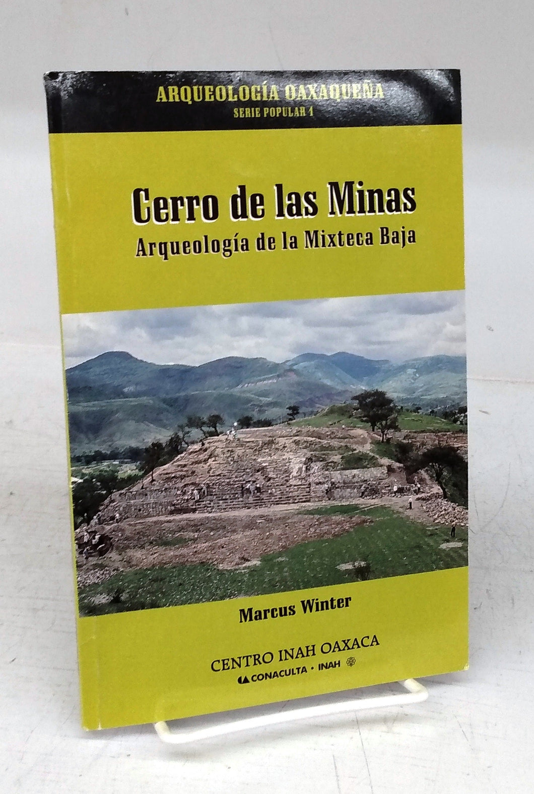 Cerro de las Minas: Arqueologia de la Mixteca Baja 