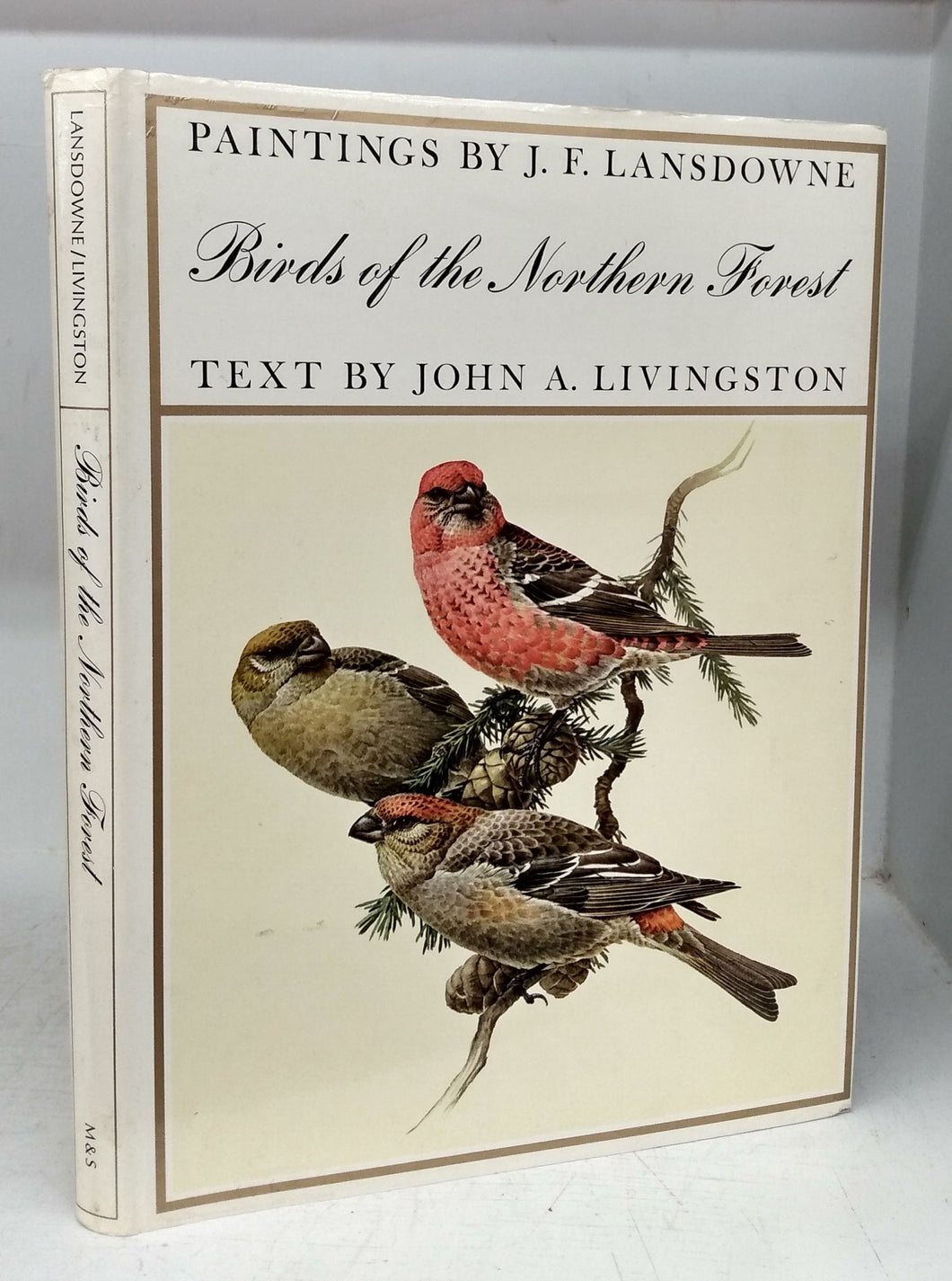 Birds of the Northern Forest