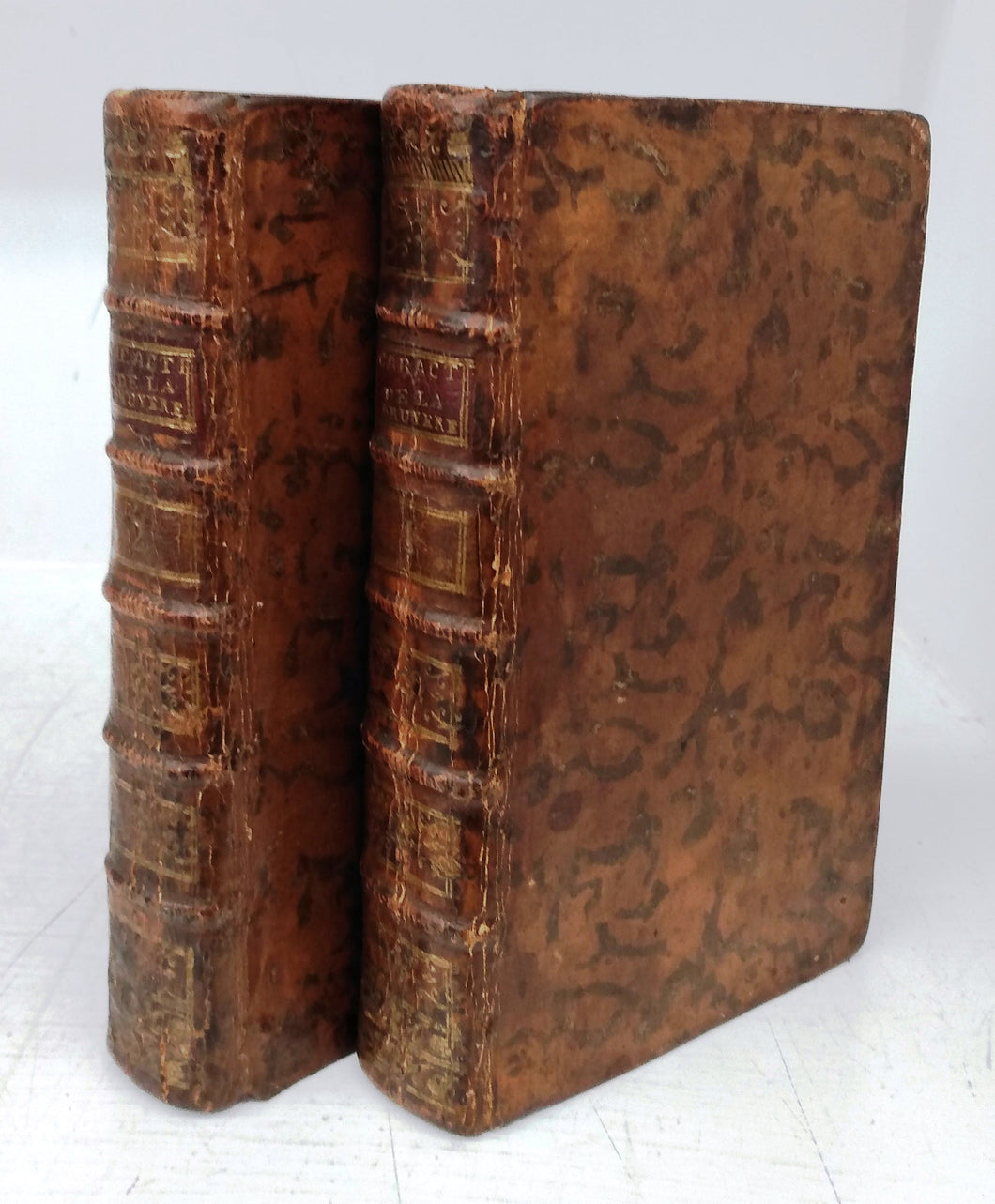 Les Caracteres de Théophraste et de La Bruyere. Tomes I & II