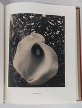 Steichen. Eduard et Voulangis: The Early Modernist Period 1915-1923