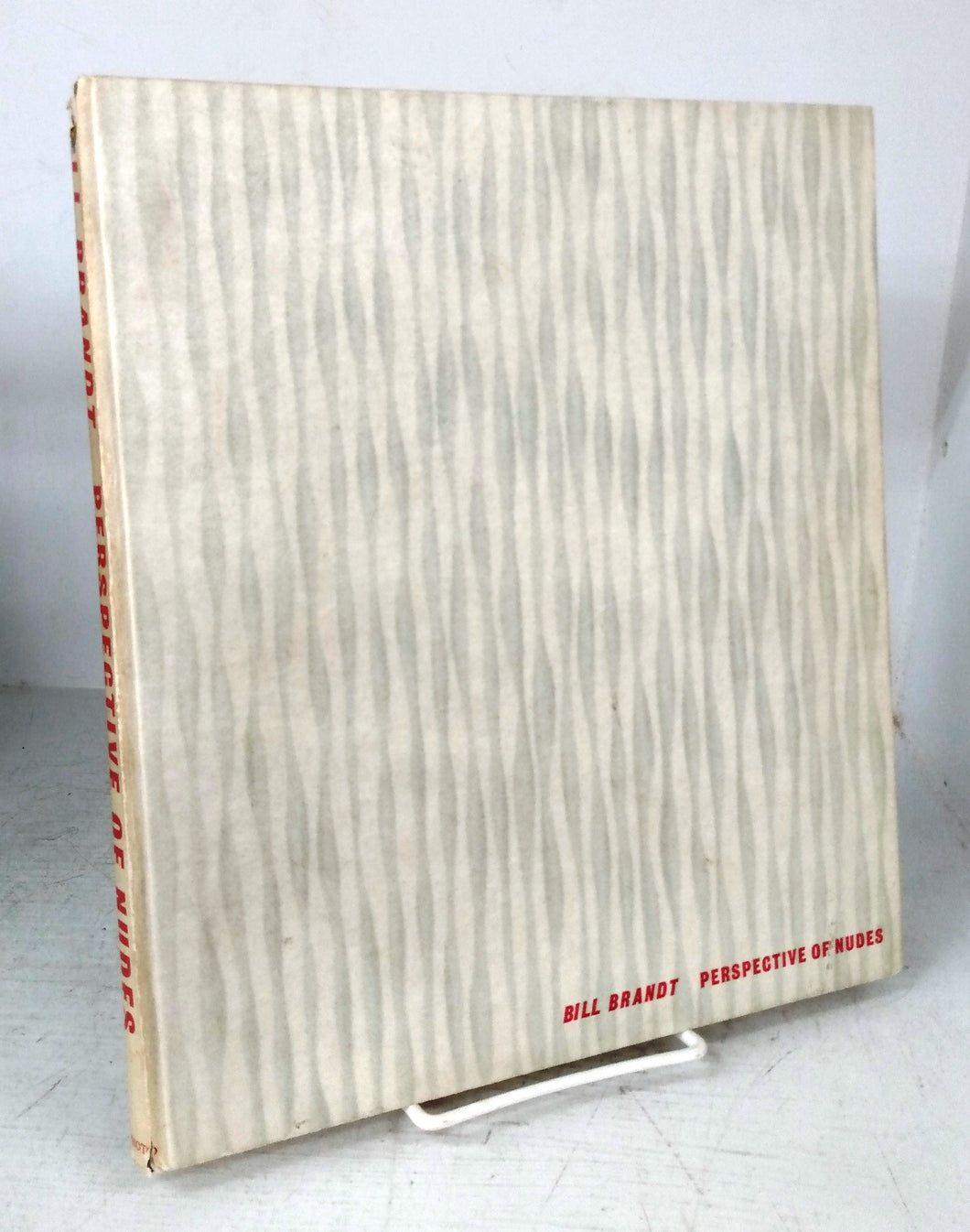 Perspective of Nudes