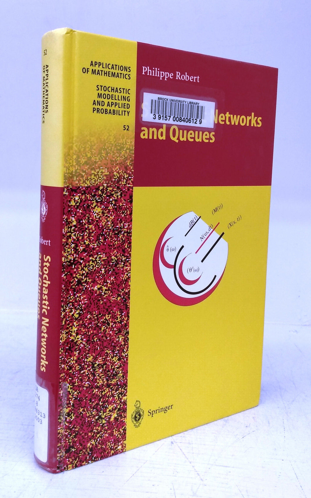 Stochastic Networks and Queues