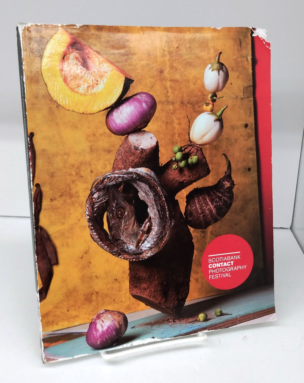 Scotiabank Contact Photography Festival 2015