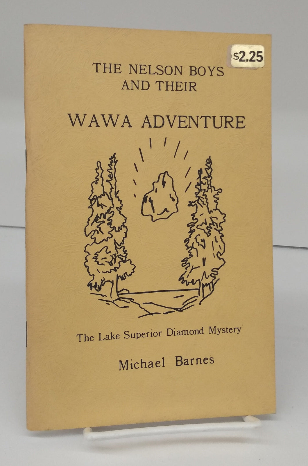 The Nelson Boys and Their Wawa Adventure: The Lake Superior Diamond Mystery