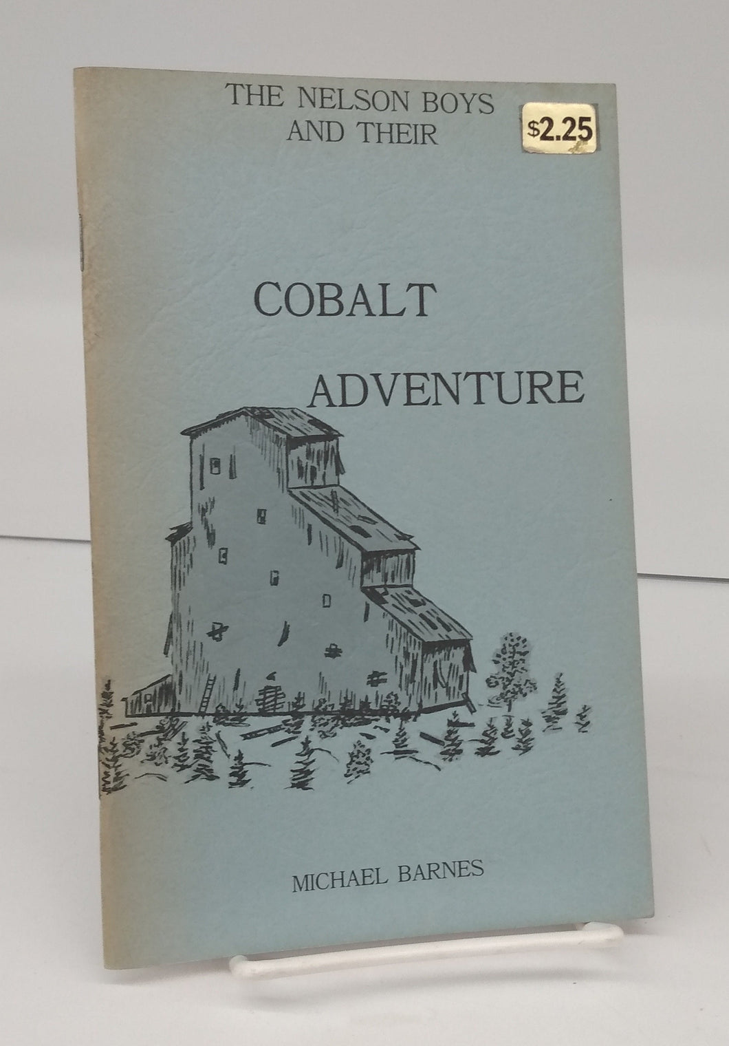 The Nelson Boys and Their Cobalt Adventure