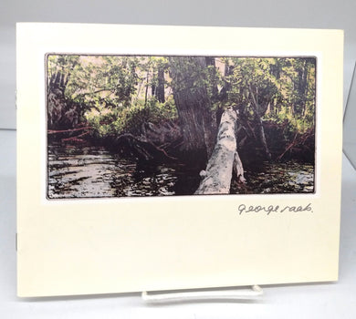 George Raab: Wild Impressions and Recycled Objects