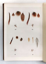 Brook and River Trouting: A Manual of modern North Country methods With Coloured Illustrations of Flies and Fly-Dressing Materals