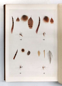 Brook and River Trouting: A Manual of modern North Country methods With Coloured Illustrations of Flies and Fly-Dressing Materals