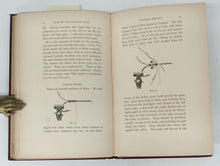 How To Tie Salmon Flies: A Treatise on the Methods of Tying the Various Kinds of Salmon Flies With Illustrated Directions and Containing the Dressings of Forty Flies