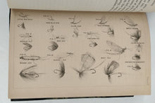 The Scientific Angler, Being A General And Instructive Work On Artistic Angling. By The Late David Foster. (Compiled By His Sons.)