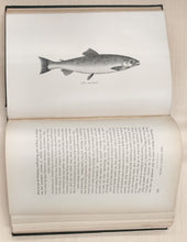 The American Angler's Book