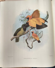 A Monograph of the Paradiseidae or Birds of Paradise