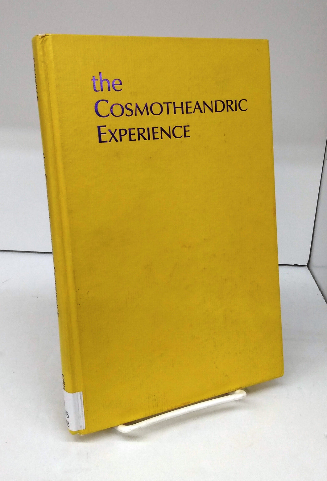 The Cosmotheandric Experience: Emerging Religious Consciousness
