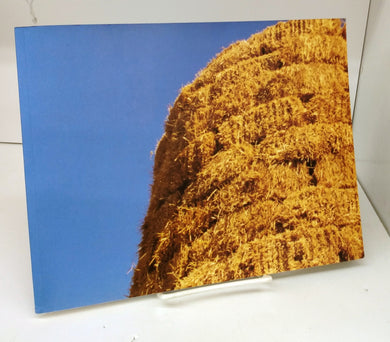 Jerry Pethick: Straw Tower