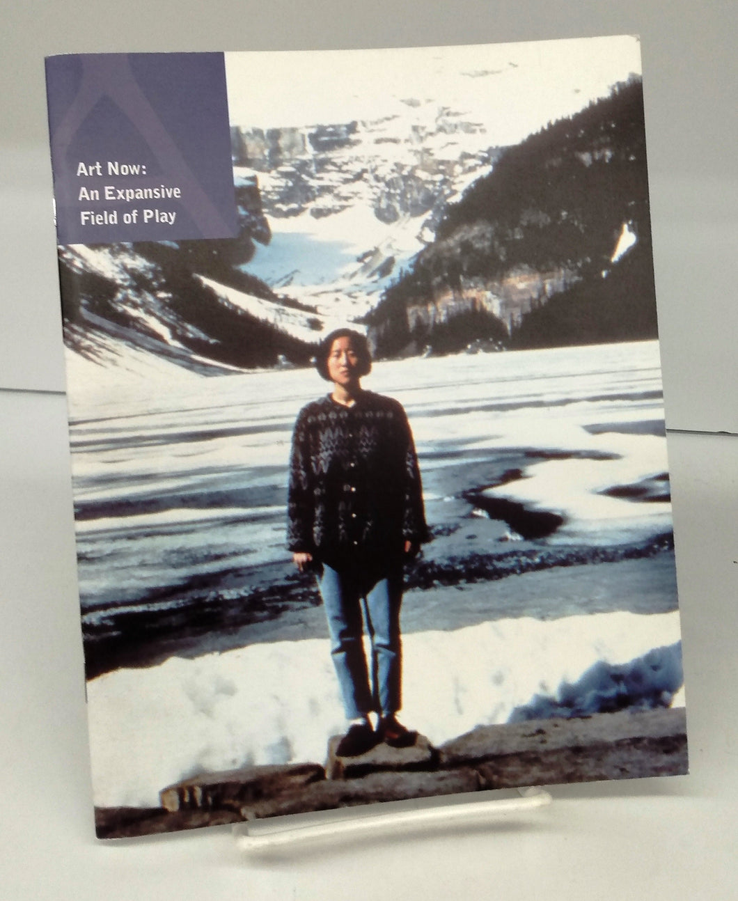 Art Now: An Expansive Field of Play