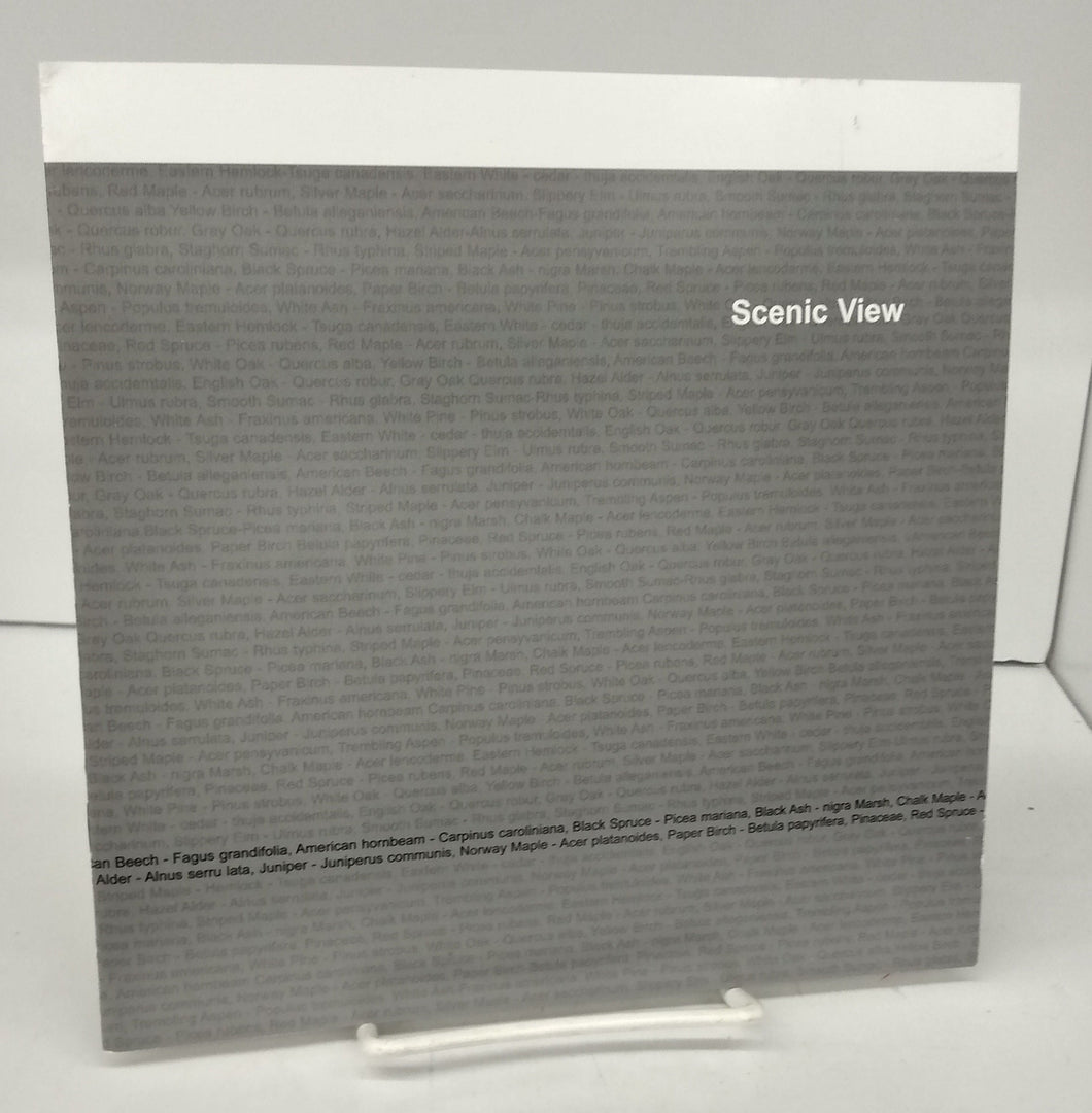 Scenic View: Anne O'Callaghan