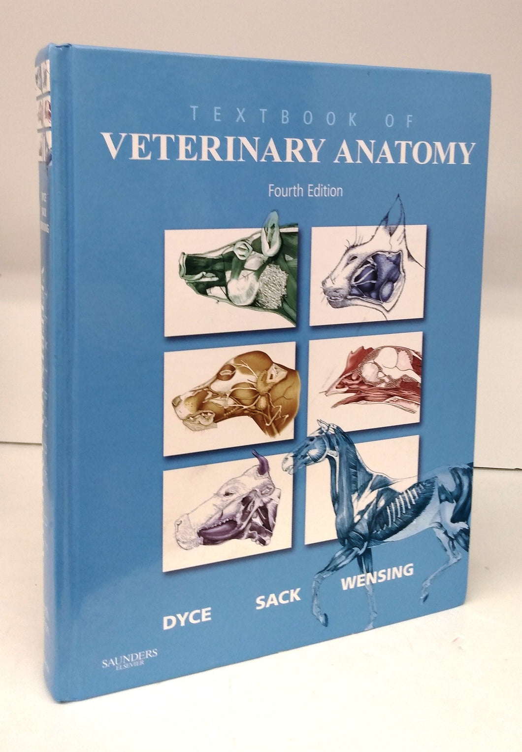 Textbook of Veterinary Anatomy