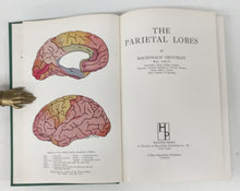 The Parietal Lobes