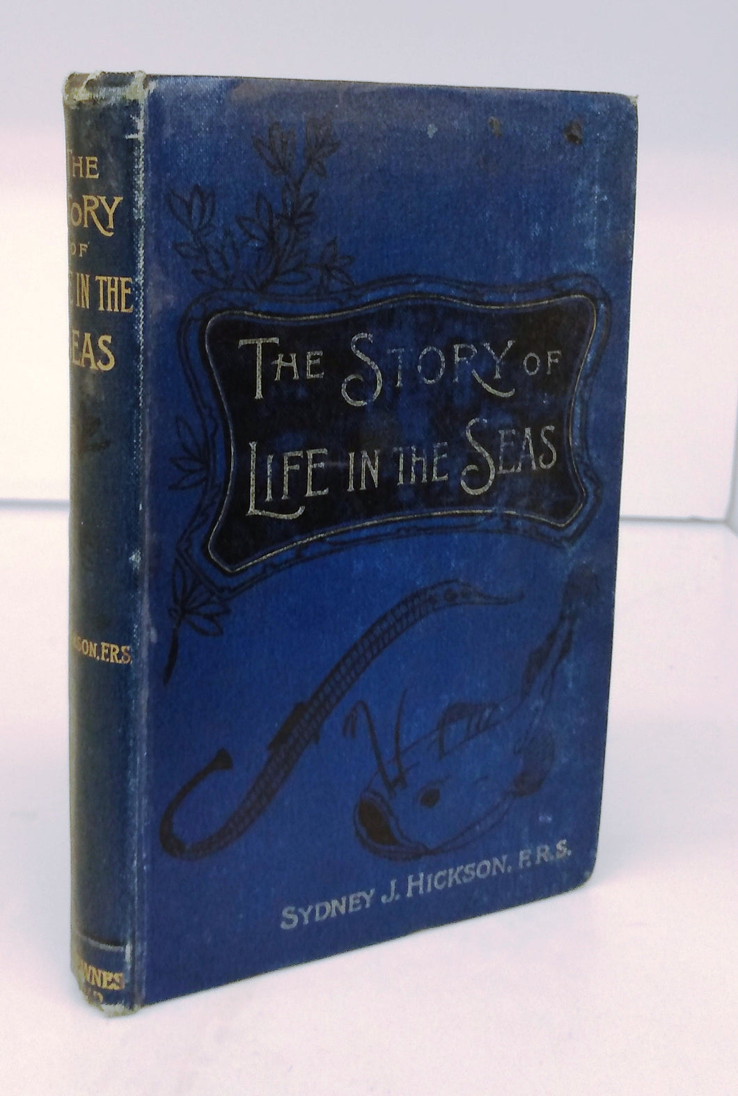 The Story of Life in the Seas