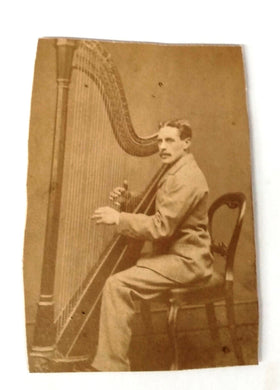 Cut down photo of man with concert harp