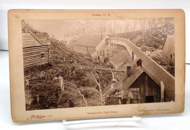 Photo of Treadwell's Gold Mine