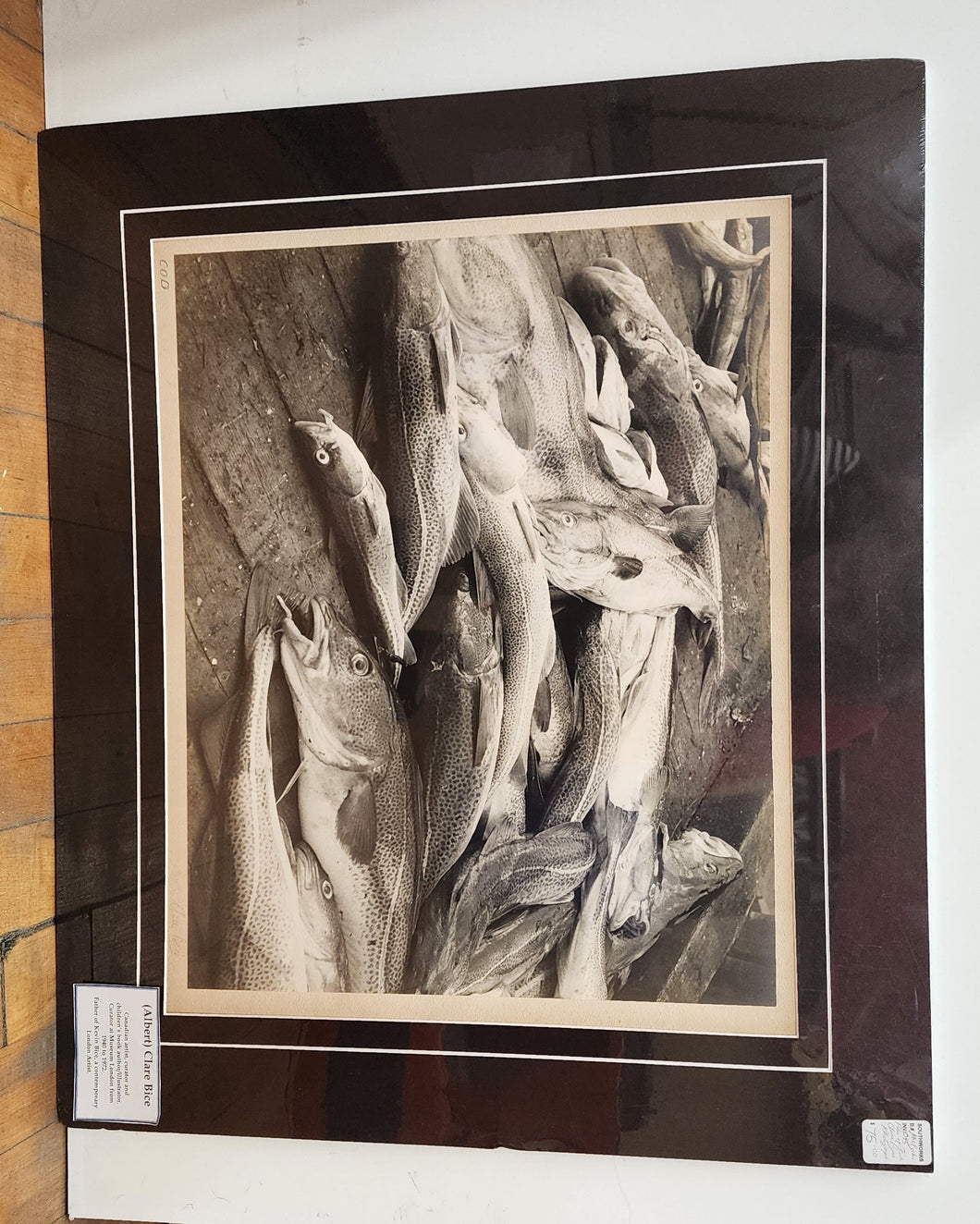 Photograph of cod