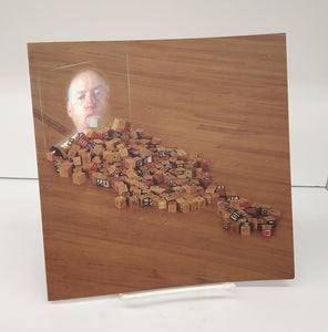 Wyn Geleynse, Inférences narratives