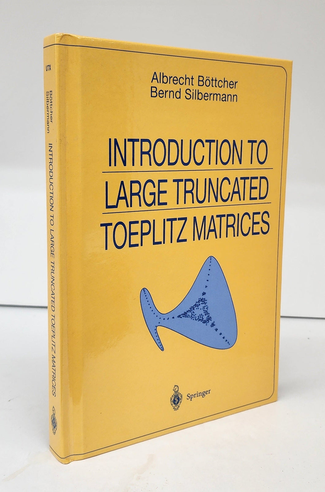 Introduction to Large Truncated Toeplitz Matrices