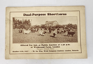 Dual-Purpose Shorthorns auction