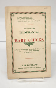 I Have For Sale Thousands of Baby Chicks