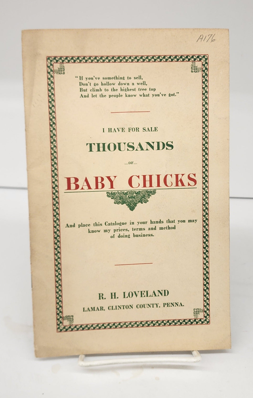 I Have For Sale Thousands of Baby Chicks