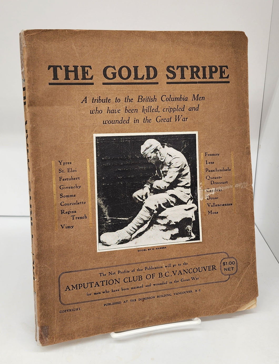 The Gold Stripe: A Tribute to the British Columbia Men who have been killed, crippled and wounded in the Great War