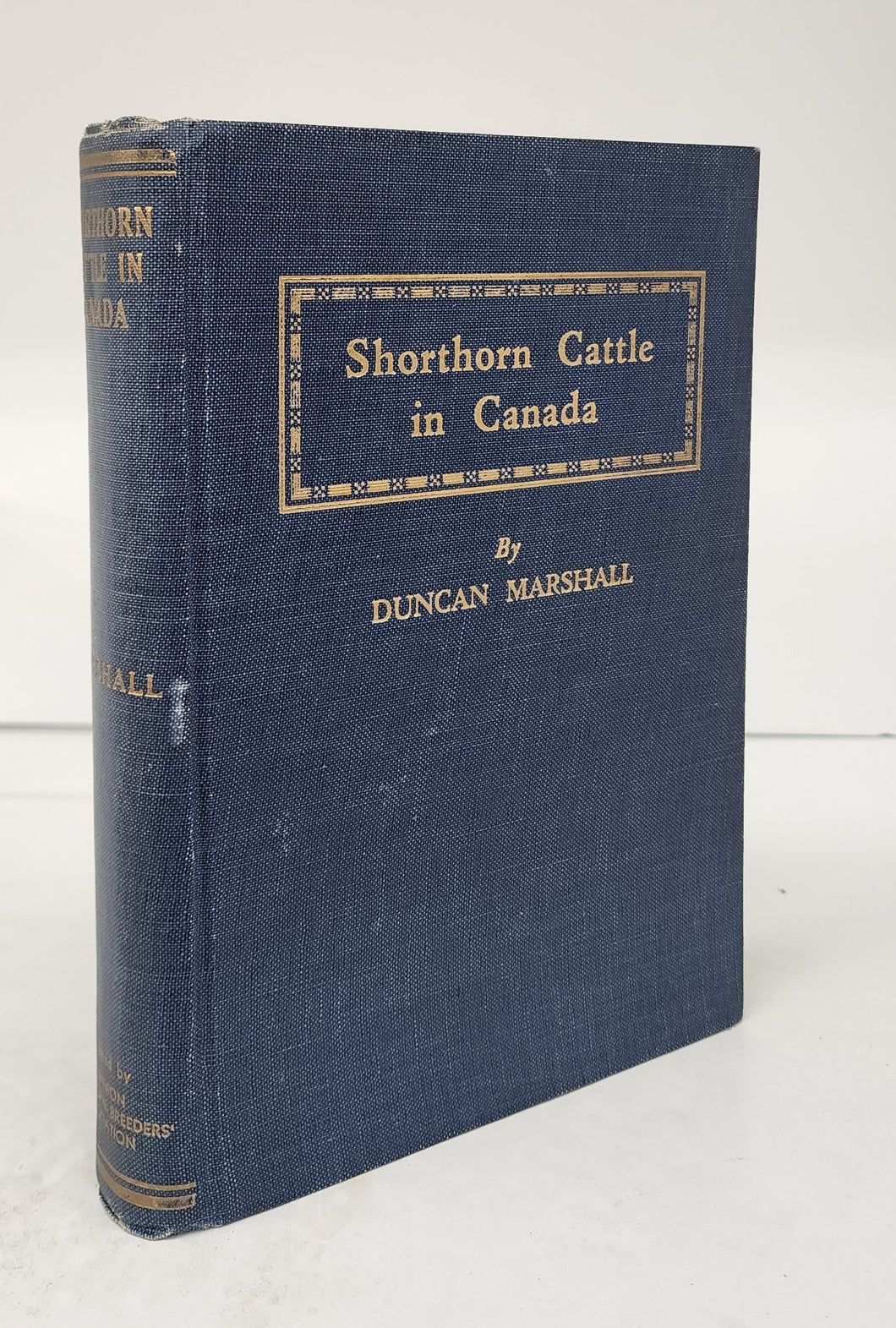 Shorthorn Cattle in Canada