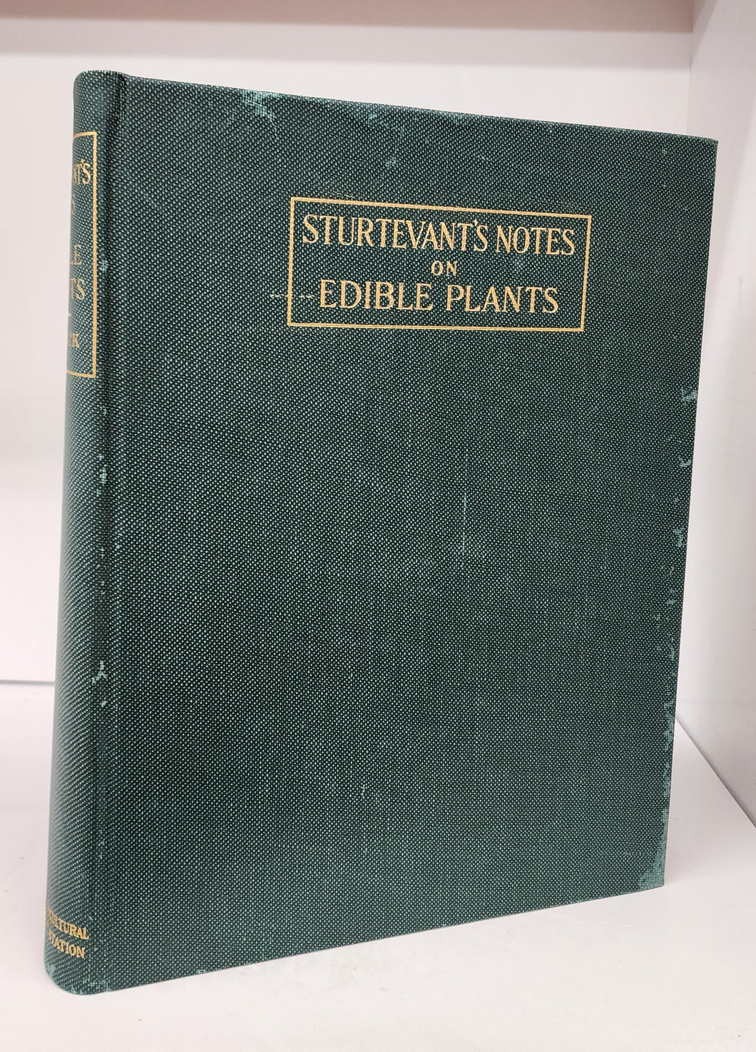 Sturtevant's  Notes on Edible Plants
