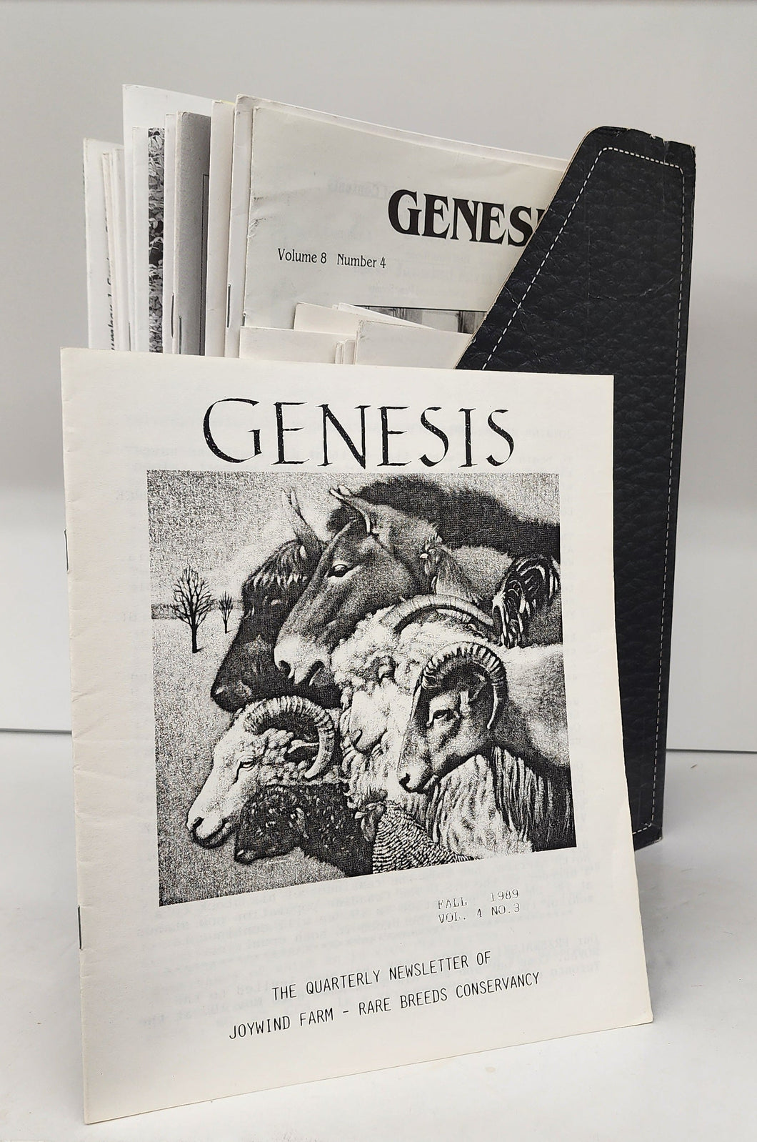 Genesis, 1989-2013