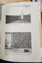 Amphigorey: Fifteen books by Edward Gorey