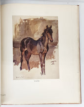 Sketches in Stable and Kennel