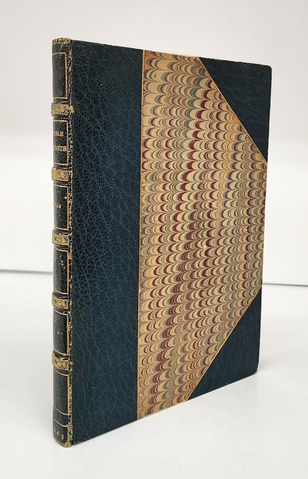 Stable Secrets; Or, Puffy Doddles. His Sayings and Sympathies