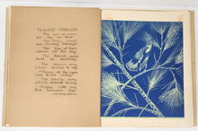 Philbrick family sketchbooks.