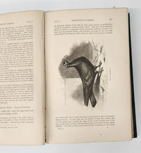 The Variation of Animals and Plants Under Domestication. In Two Volumes