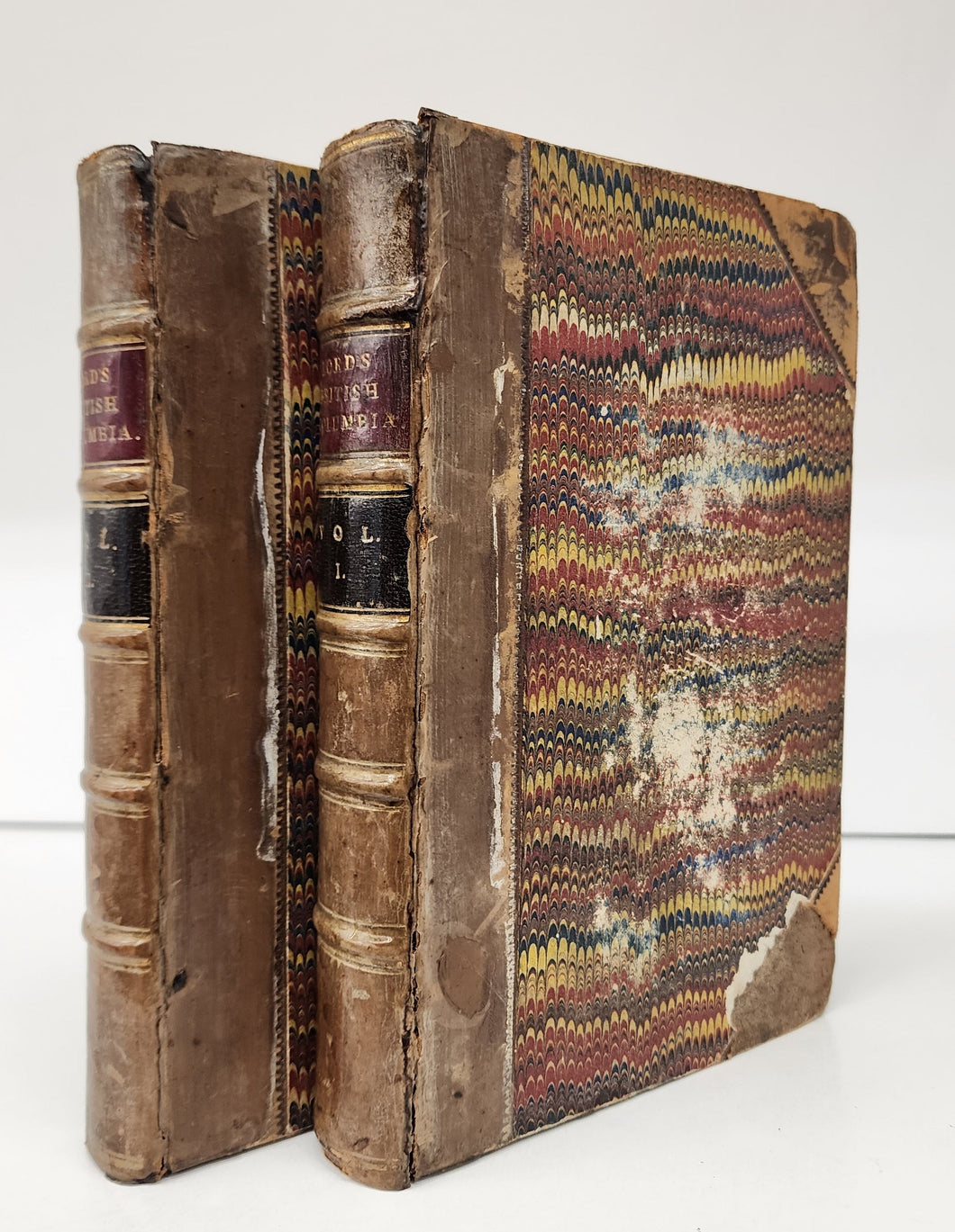 The Naturalist in Vancouver Island and British Columbia. Vols. I & II