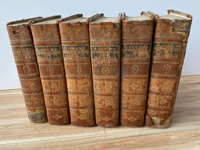 Commentarius ad Primos Viginti et Unum Psalmos Quo Singulorum Argumentum Tempus et Hypothesis Explicandi Inprimis Studiose Inquiritur, Eorumque Partes Continua Paraphrasi et Selectis Observationibus Illustrantur