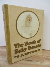 The Book of Baby Beasts