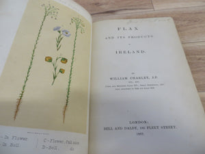 Flax and Its Products in Ireland